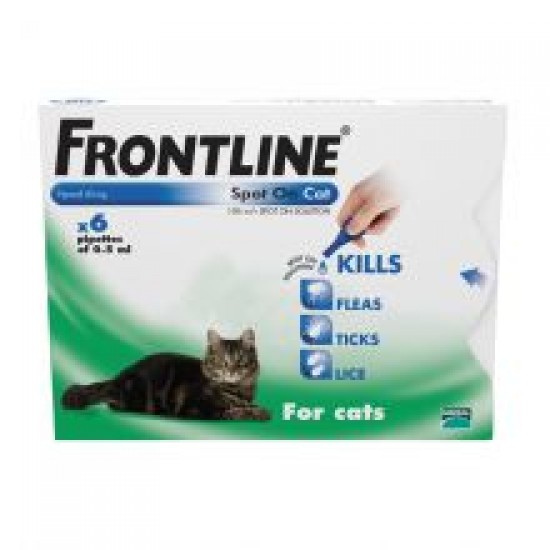 FRONTLINE Spot On Cat - 6 pipettes