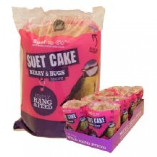 Suet To Go Berry and Bugs Hanging Cake Suet To Go Berry and Bugs Hanging Cake