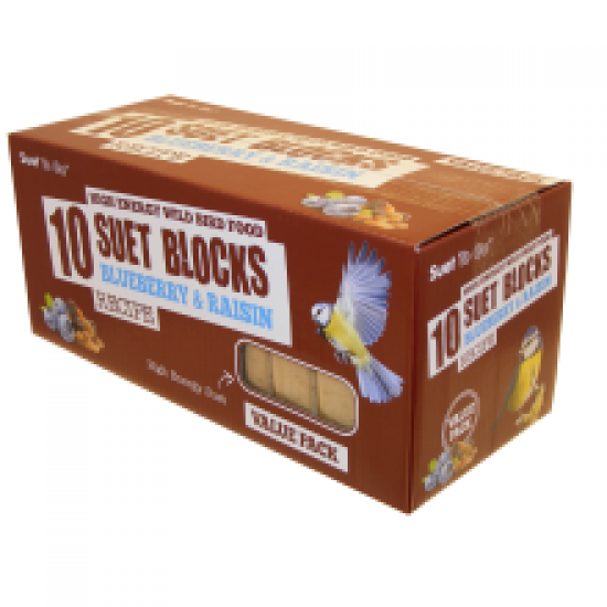 Suet To Go Blueberry & Raisin Block Value 10 Pack