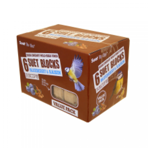 Suet To Go Blueberry & Raisin Block Value 6 Pack