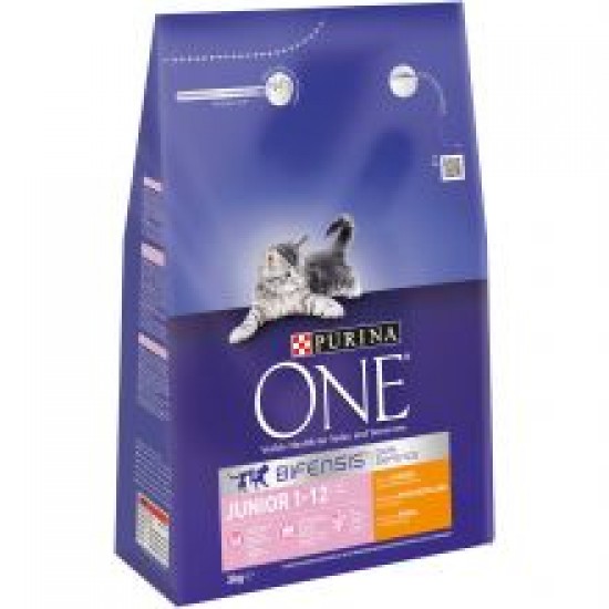 Purina One Kitten Chicken