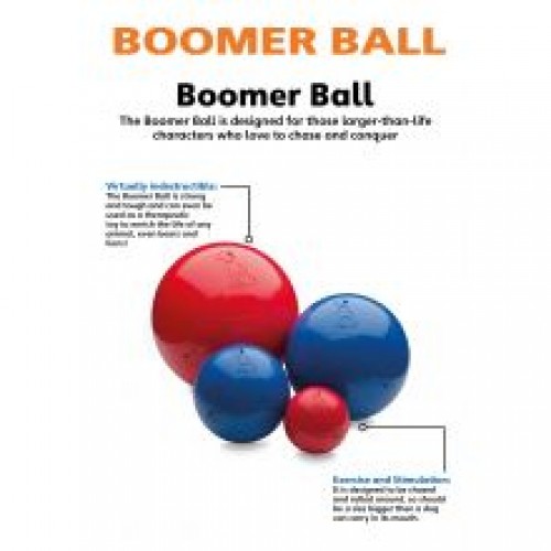 Boomer Ball Boomer Ball