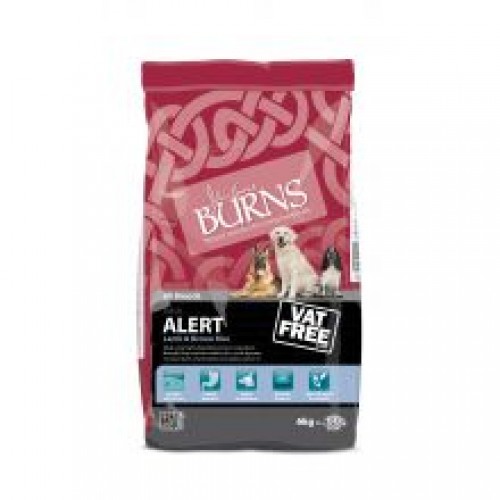 Burns Alert Lamb