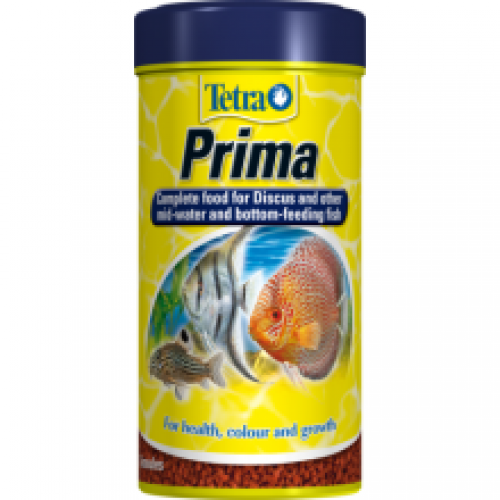 Tetra Prima Tetra Prima