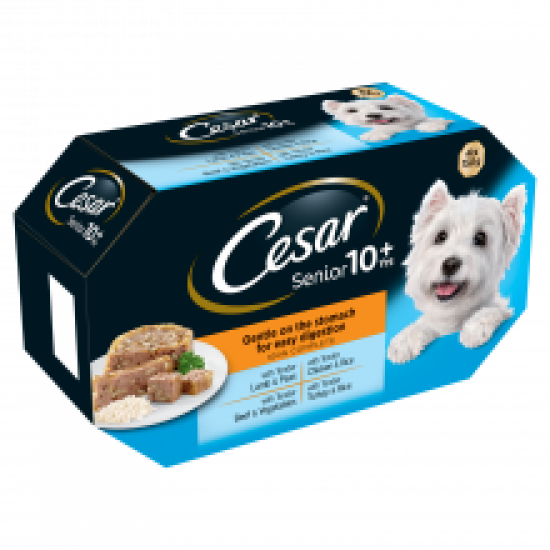 Cesar Senior 10+ Meat in Jelly 4pk