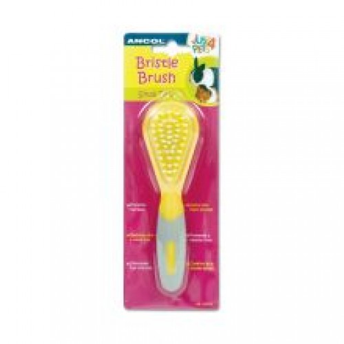 Ancol Small Animal Bristle