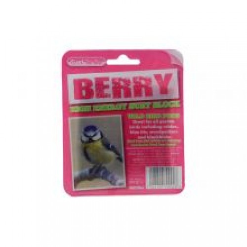 Suet To Go Berry Suet Block In Tray