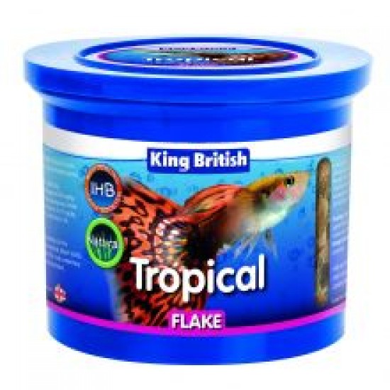 King British Tropical Fish Flake Food