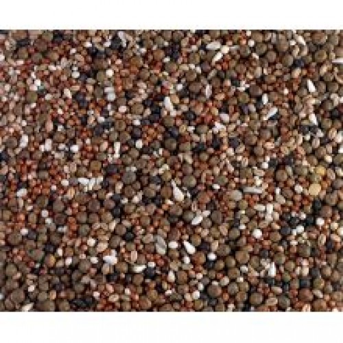 Bucktons Breed & Wean