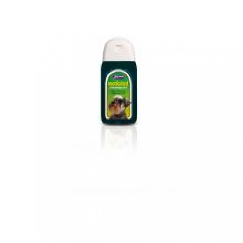 Johnsons Medicated Shampoo Johnsons Medicated Shampoo