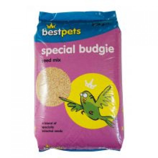 Bestpets Special Budgie