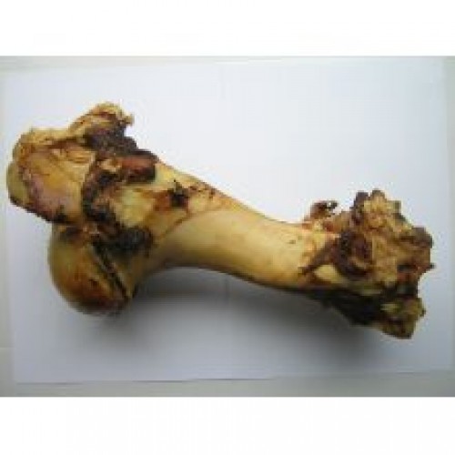 T. Forrest & Sons Roasted Whole Bone Jurassic T. Forrest & Sons Roasted Whole Bone Jurassic