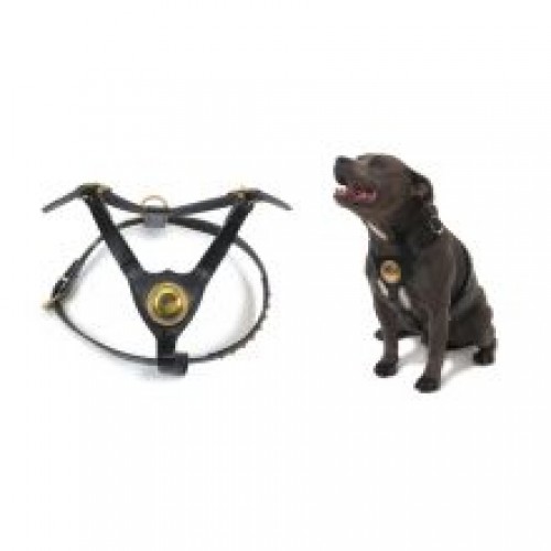Ancol Bull Terrier Harness Black Ancol Bull Terrier Harness Black