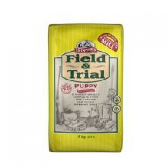 Skinner's Field & Trial Puppy