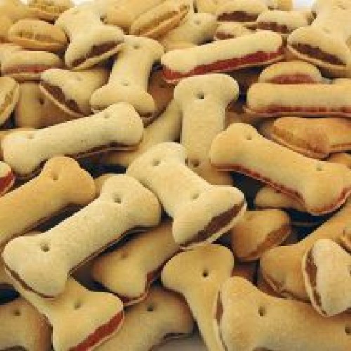 Pointer Sandwich Bones Pointer Sandwich Bones