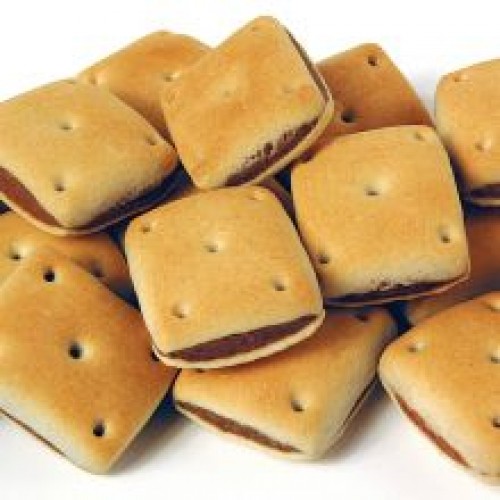 Pointer Liver Flavoured Squares Pointer Liver Flavoured Squares