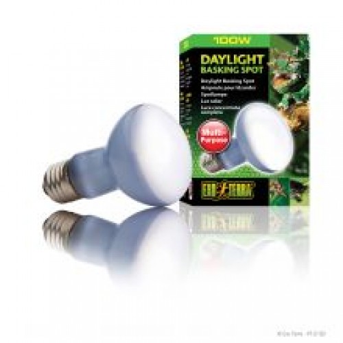 Exo Terra Daylight Basking Spot- 100w Exo Terra Daylight Basking Spot- 100w