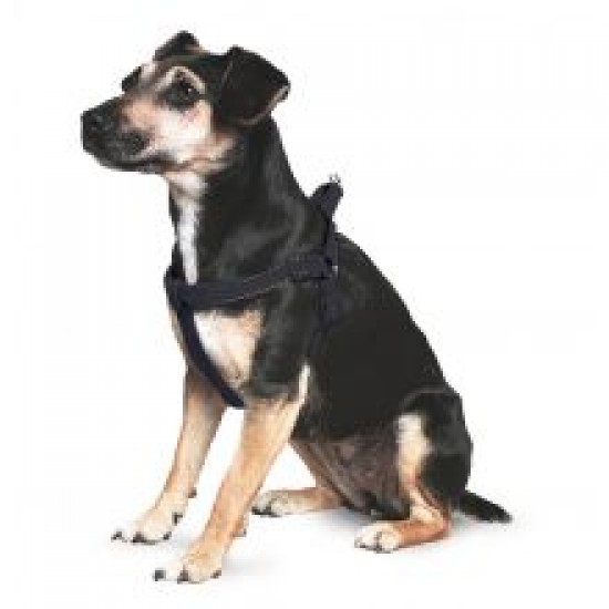 Ancol Padded Harness 3-4 Black