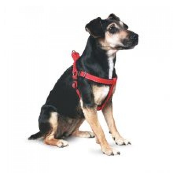 Ancol Padded Harness 3-4 Red
