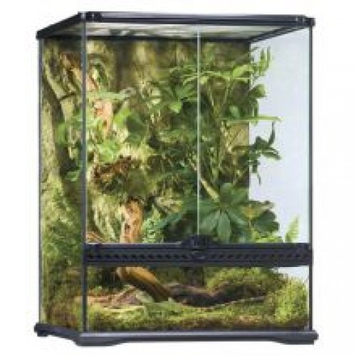 Exo Terra Glass Terrarium Exo Terra Glass Terrarium