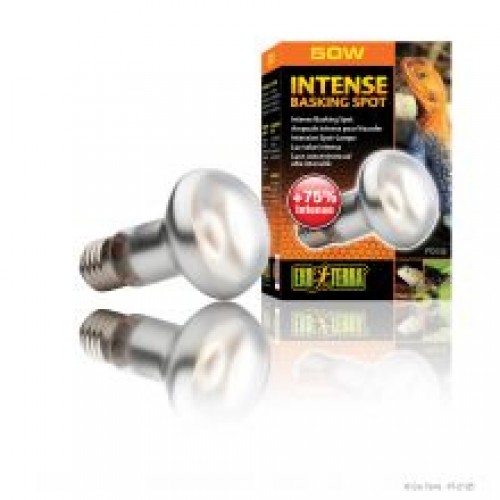 Exo Terra Intense Basking Spot - 50w Exo Terra Intense Basking Spot - 50w