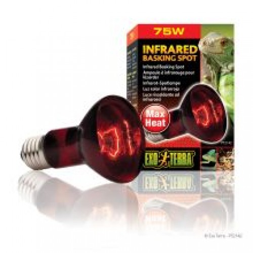 Exo Terra Infrared Basking Spot - 75w Exo Terra Infrared Basking Spot - 75w