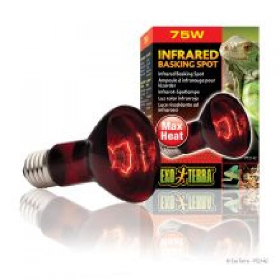 Exo Terra Infrared Basking Spot - 75w