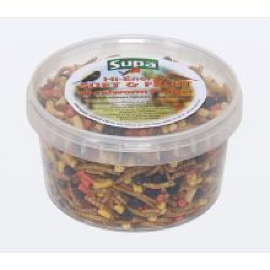 Supa Suet Fruit Mealworm Platter