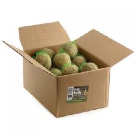 Treat 'N' Eat Giant Fat Ball Bulk Box 500g x 20