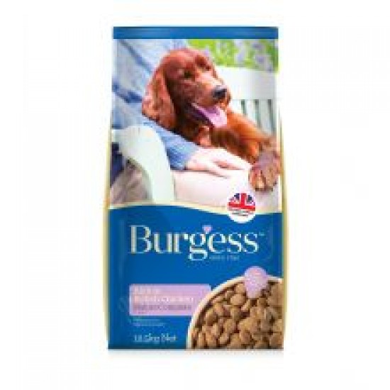 Burgess Mature Dog Chicken