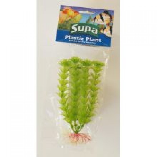 Supa Plastic Plant Plybg