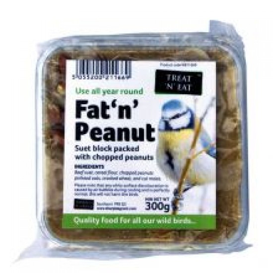 Treat 'N' Eat Fat 'N' Peanut Suet Block