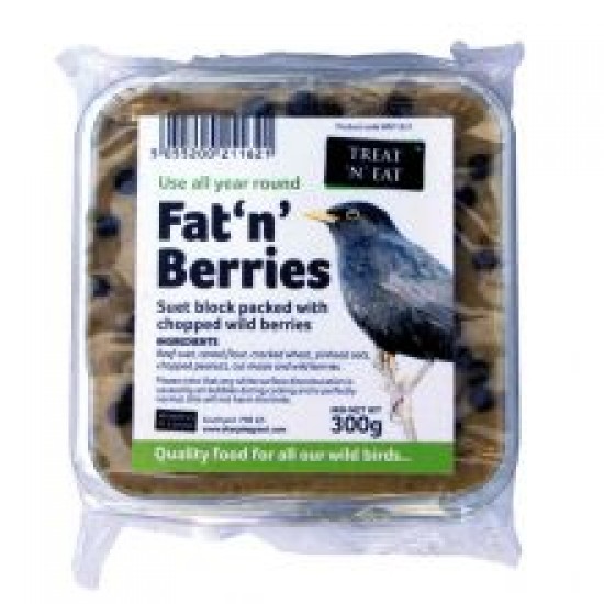 Treat 'N' Eat Fat 'N' Berries Suet Block