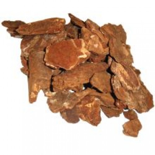Reptile Bark Reptile Bark