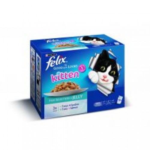 Felix As Good As It Looks Kitten Fish Selection 12 Pack