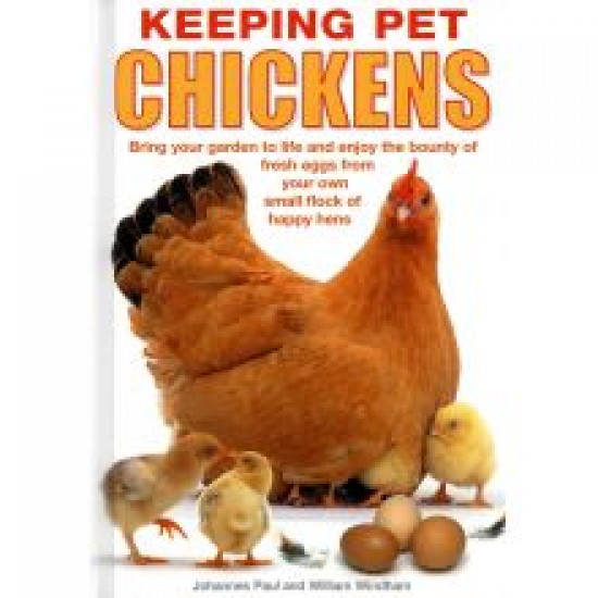 Keeping Pet Chickens Keeping Pet Chickens