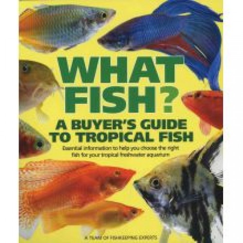 What Fish? Tropical