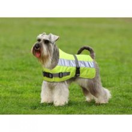 Flectalon Dog Jacket