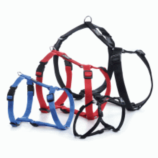 Walk 'R' Cise Black Harness X Small