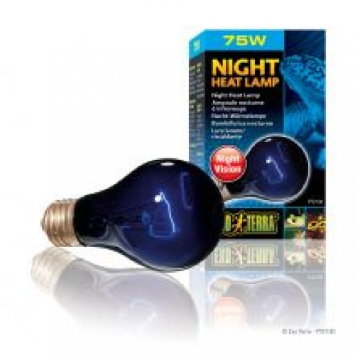 Exo Terra Night Heat Lamp - 75w Exo Terra Night Heat Lamp - 75w