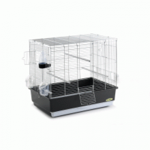Imac Irene 4 Exp Birdcage
