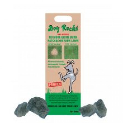 Dog Rocks Igneous Rock Dog Rocks Igneous Rock