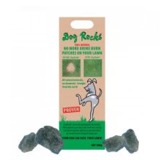 Dog Rocks Igneous Rock