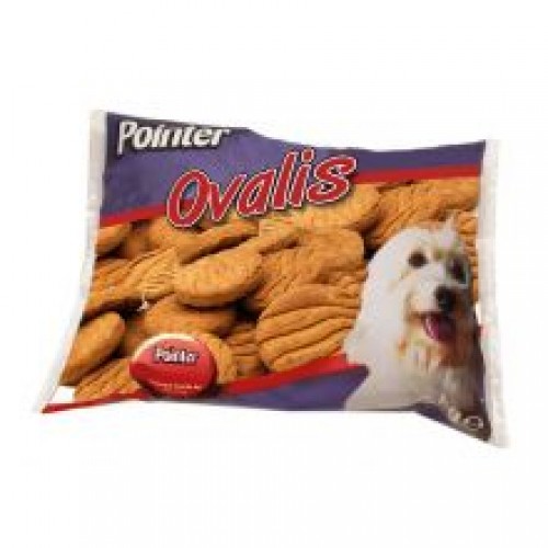 Pointer Ovalis Pointer Ovalis