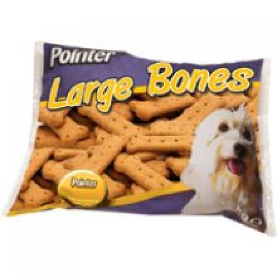 Pointer Large Bones
