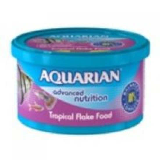 Aquarian Tropical Fish