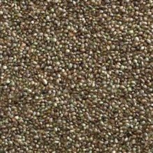 Hempseed Bird Seed / Fishing Bait 