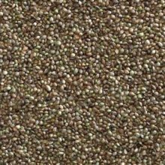 Hempseed Bird Seed / Fishing Bait 