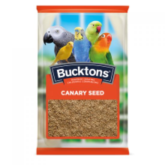Bucktons Plain Canary