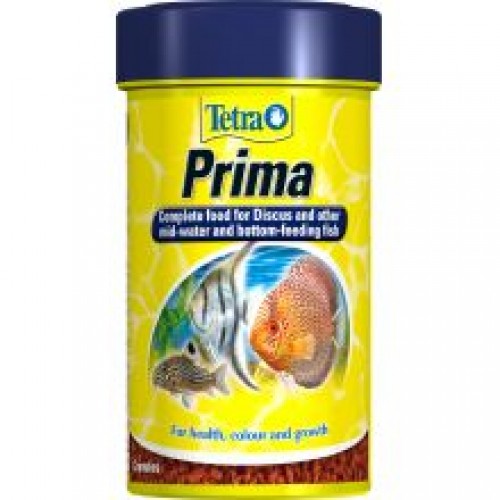 Tetra Prima Tetra Prima